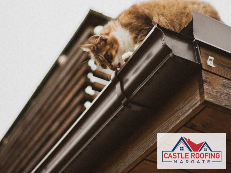 Gutter repair replacement CT9 Margate